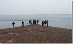 20120802 PC Wk24 Cromarty Dolphins 20120802_090322