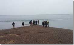 20120802 PC Wk24 Cromarty Dolphins 20120802_090322