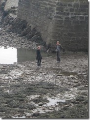 20120807 Camera Wk25 Stonehaven IMG_8545