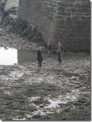 20120807 Camera Wk25 Stonehaven IMG_8545
