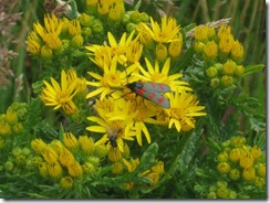 20120807 Camera Wk25 Stonehaven IMG_8558