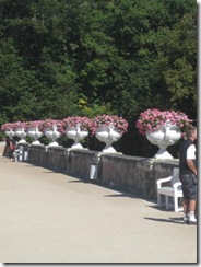 20120830 Camera Wk28B Le Coudray Chenonceau IMG_9876
