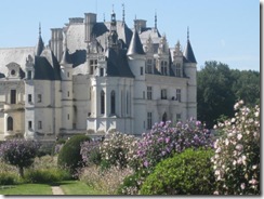 20120830 Camera Wk28B Le Coudray Chenonceau IMG_9879